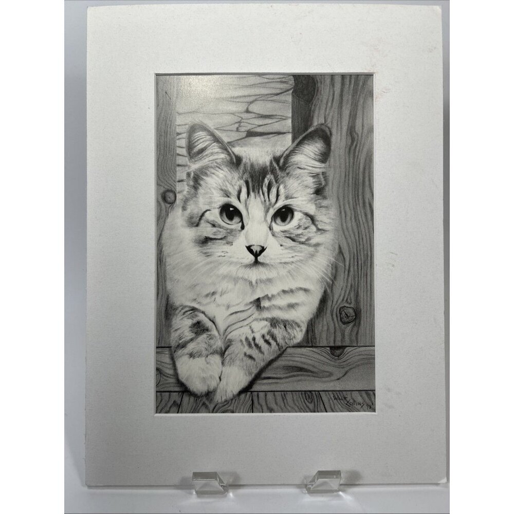 original walt collins print kitty 1998 cat in pencil sketch drawing